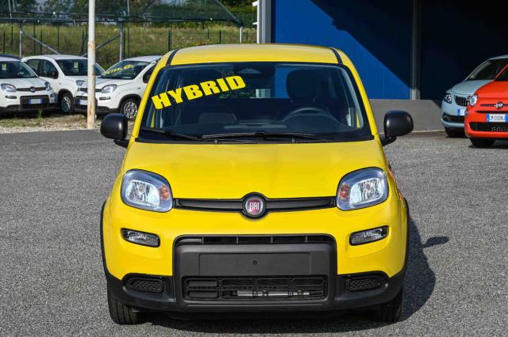 Fiat Panda nuova a Torino (2)