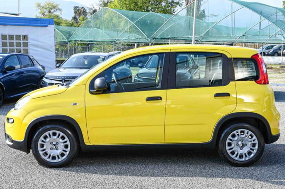 Fiat Panda nuova a Torino (8)