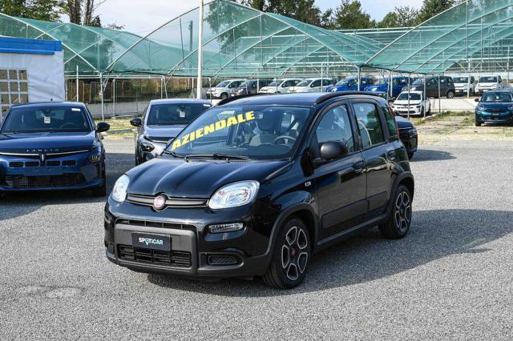 Fiat Panda usata a Torino