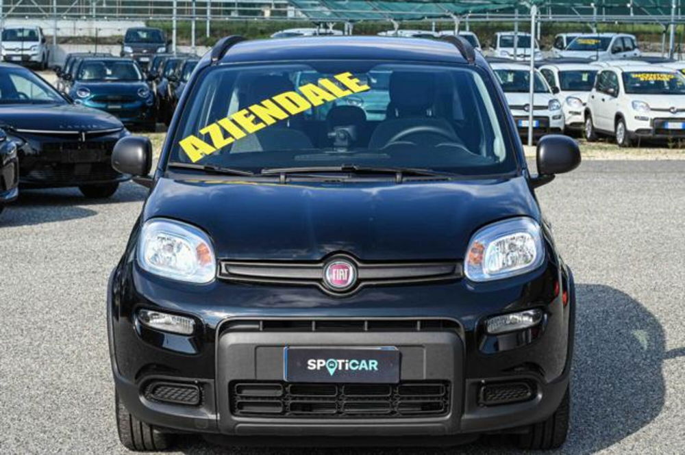 Fiat Panda usata a Torino (2)