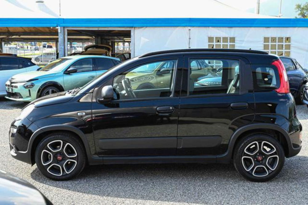 Fiat Panda usata a Torino (8)