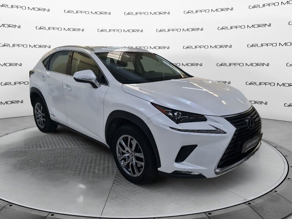 Lexus NX usata a Bologna