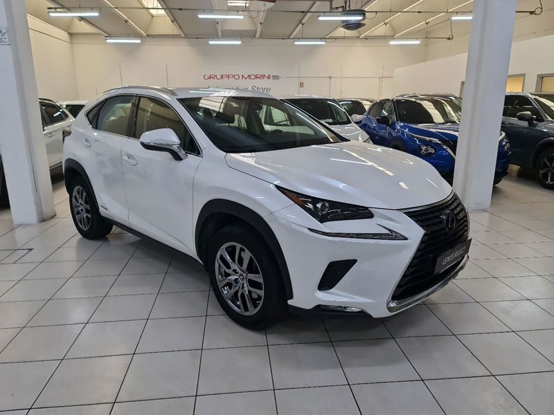 Lexus NX Hybrid 4WD Premium  del 2020 usata a San Lazzaro di Savena