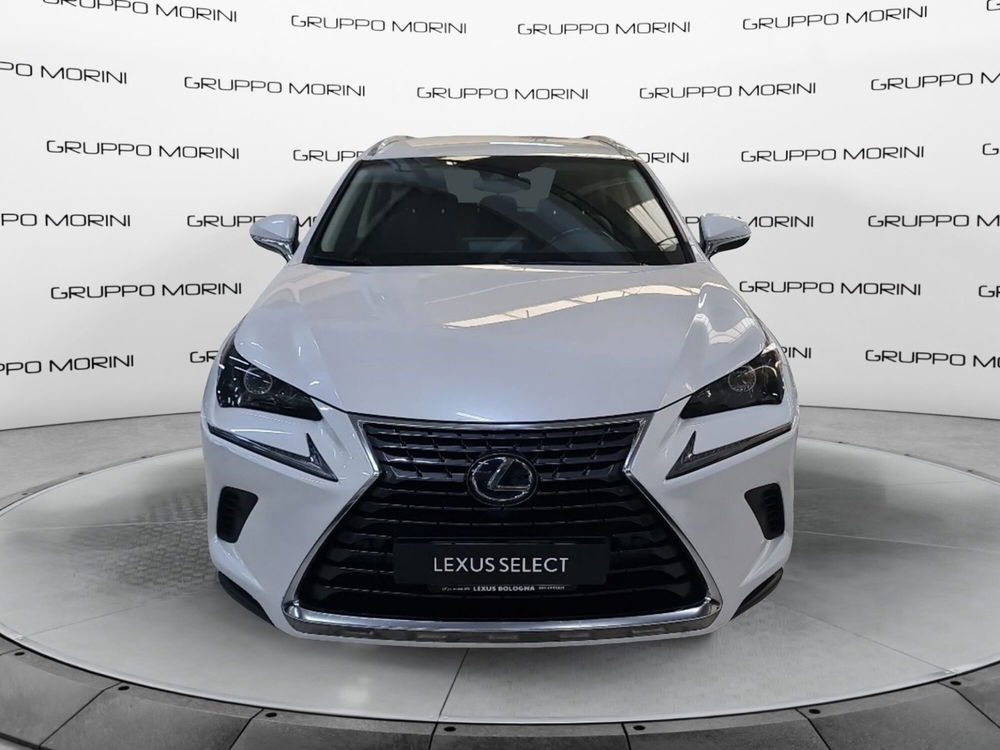 Lexus NX usata a Bologna (2)