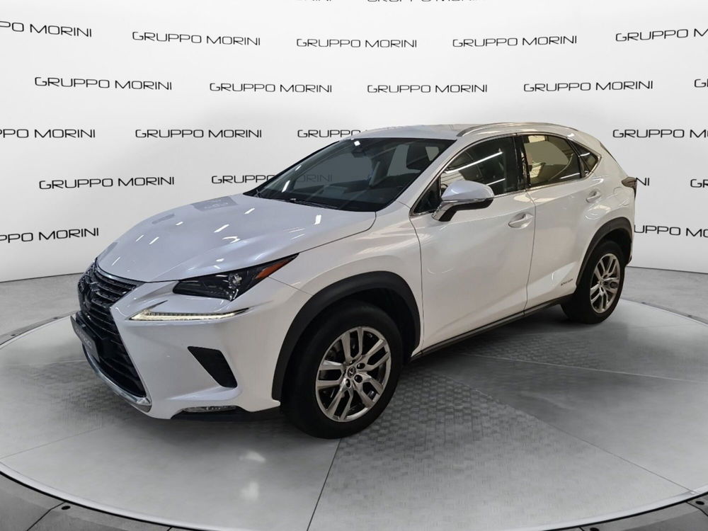 Lexus NX usata a Bologna (3)