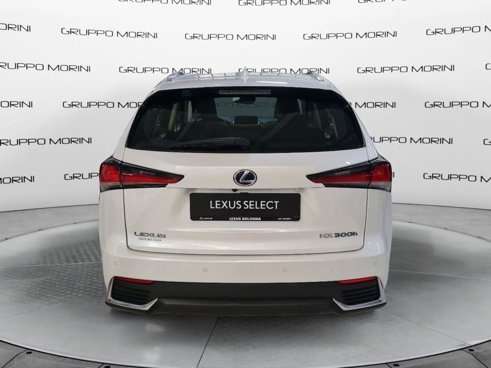 Lexus NX usata a Bologna (4)