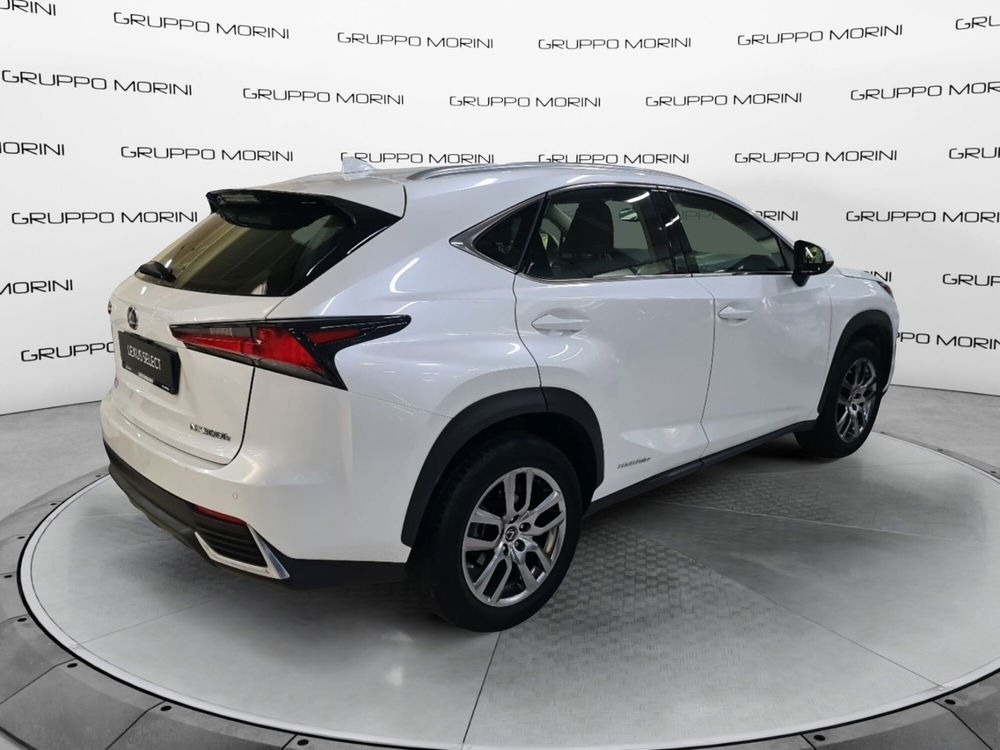 Lexus NX usata a Bologna (5)