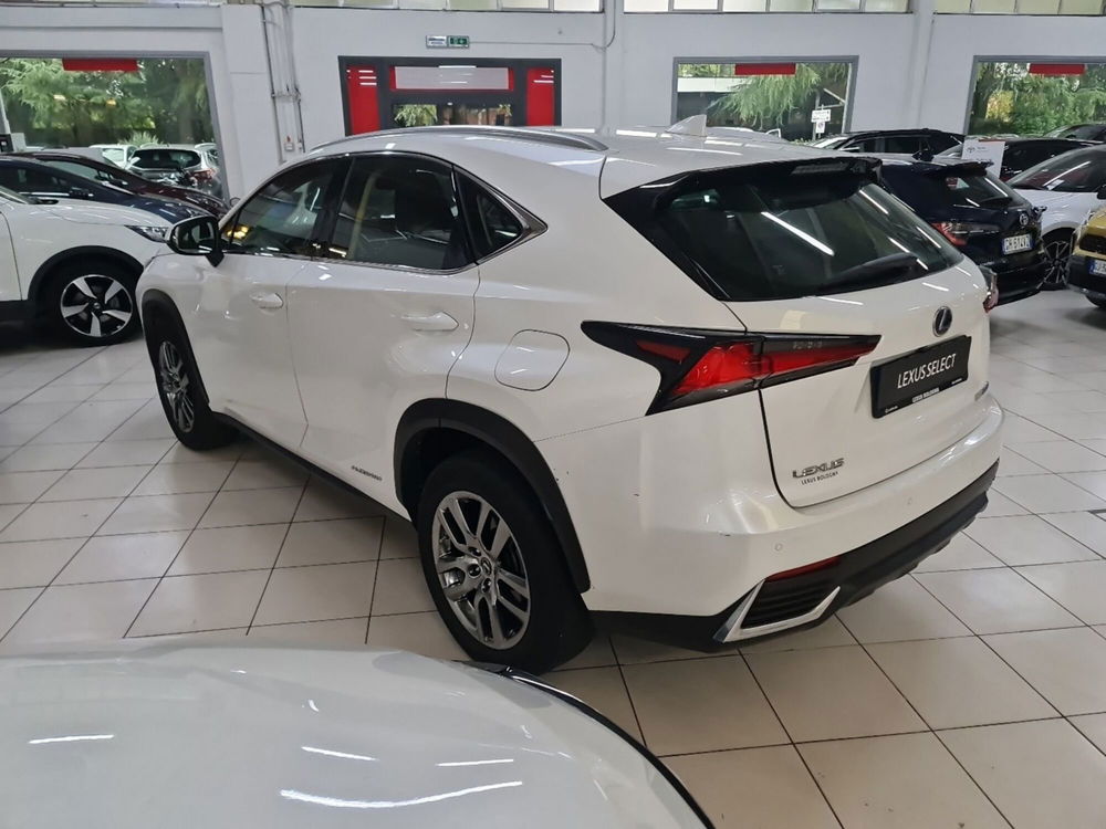 Lexus NX usata a Bologna (6)