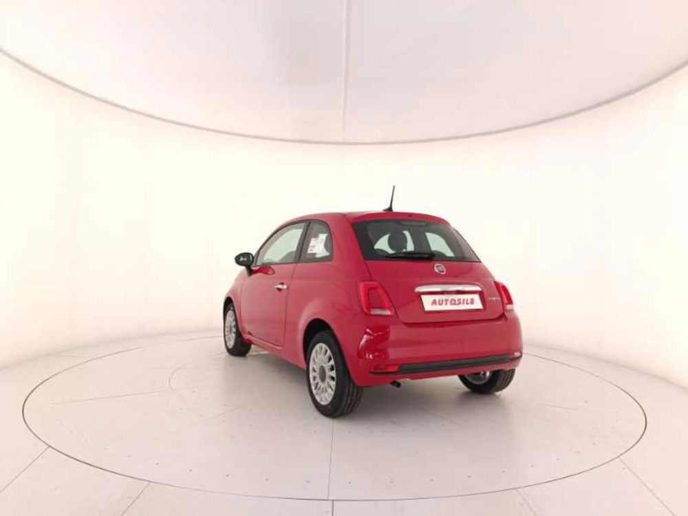 Fiat 500 nuova a Treviso (4)