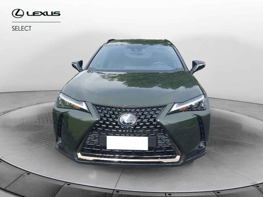 Lexus UX usata a Roma