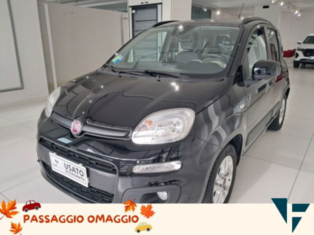 Fiat Panda usata a Treviso