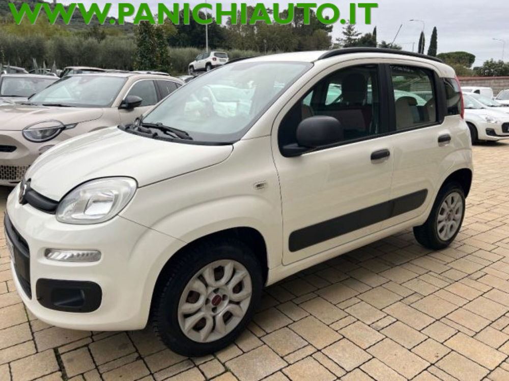 Fiat Panda usata a Arezzo