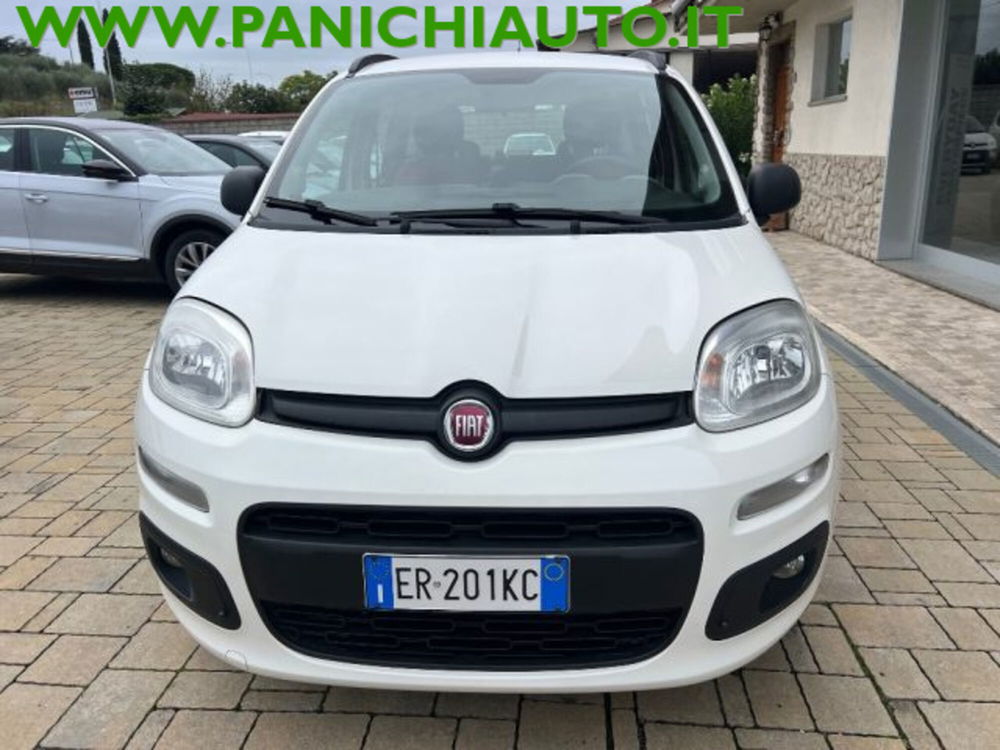 Fiat Panda usata a Arezzo (2)