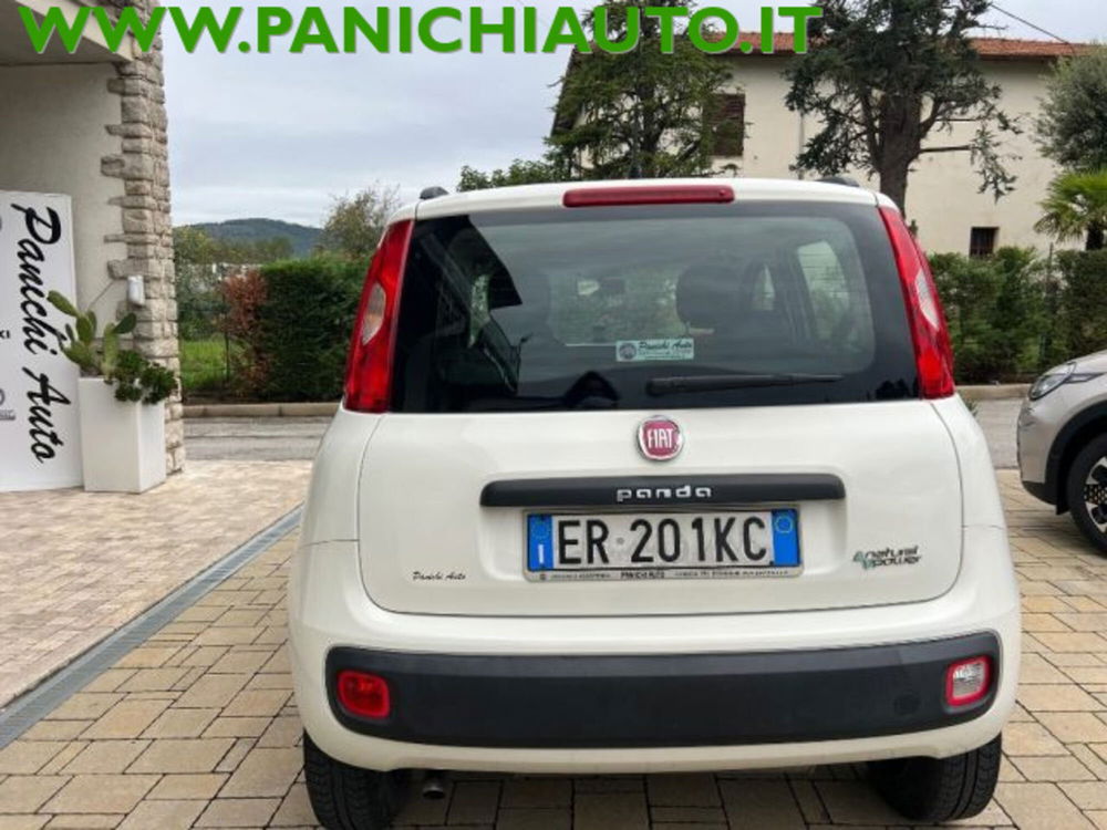 Fiat Panda usata a Arezzo (6)