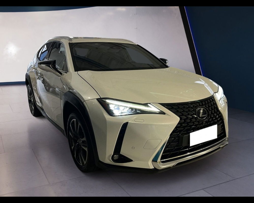 Lexus UX usata a Torino (6)