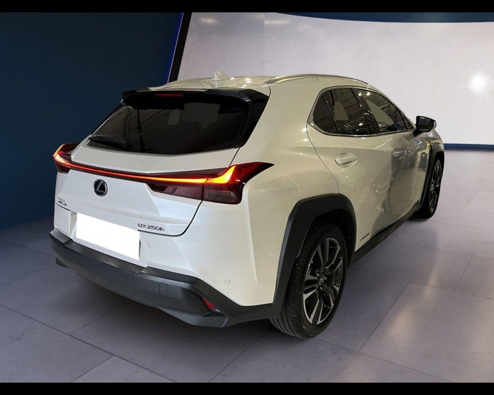 Lexus UX usata a Torino (9)