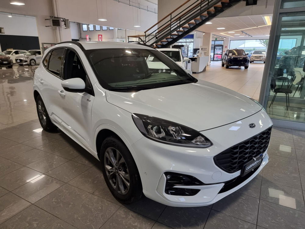 Ford Kuga usata a Alessandria (3)