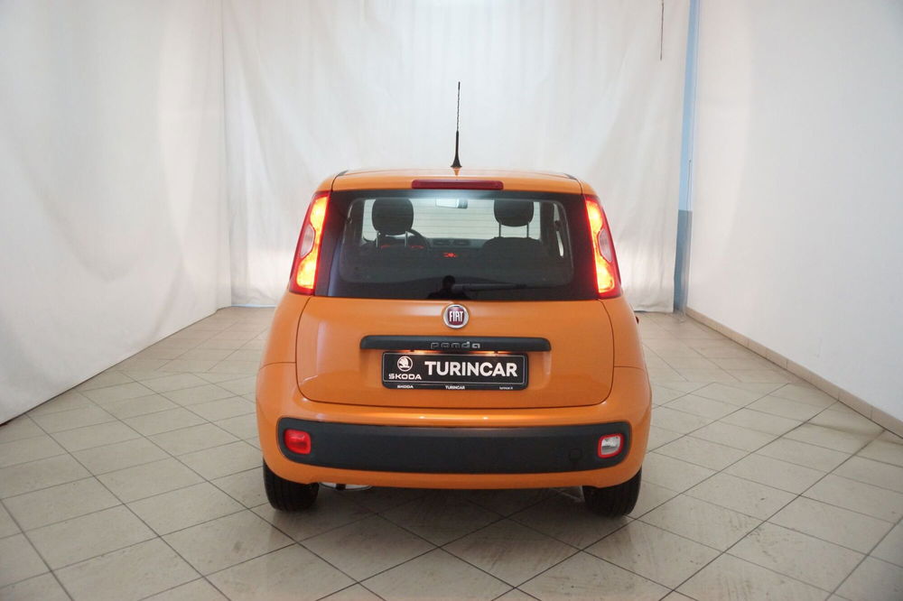 Fiat Panda usata a Torino (20)