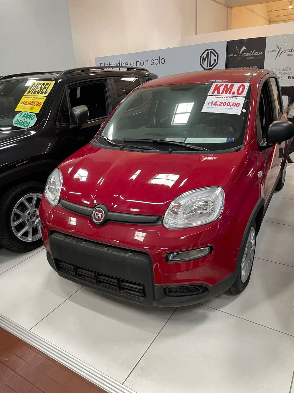 Fiat Panda Cross nuova a Lucca (2)