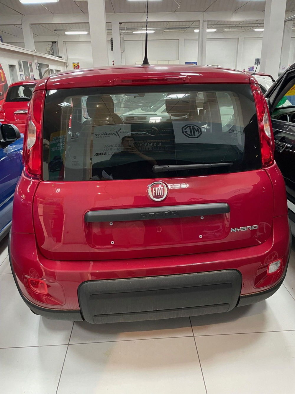 Fiat Panda Cross nuova a Lucca (3)