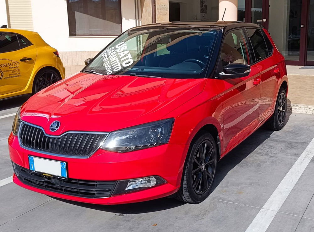 Skoda Fabia usata a Frosinone (2)