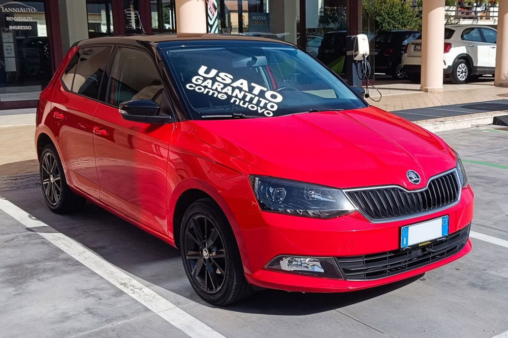 Skoda Fabia usata a Frosinone (7)