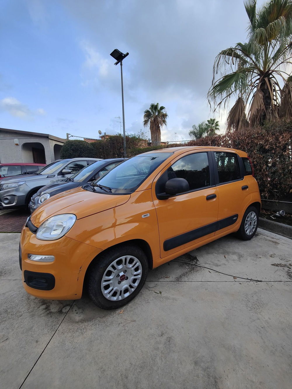 Fiat Panda usata a Catania (2)