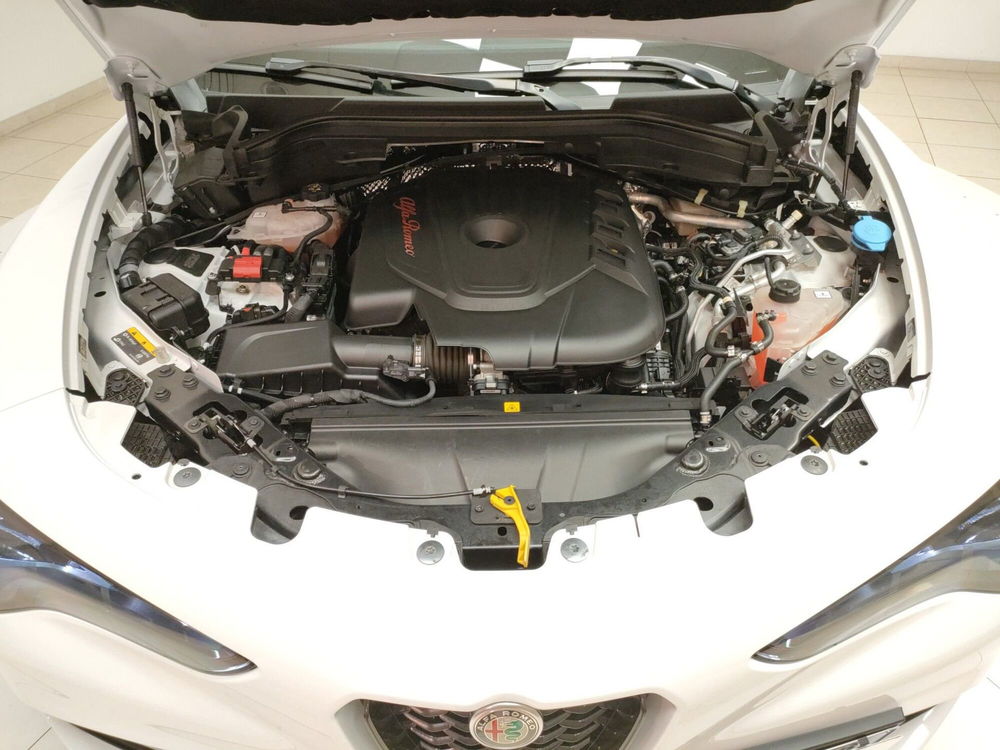 Alfa Romeo Stelvio usata a Teramo (9)