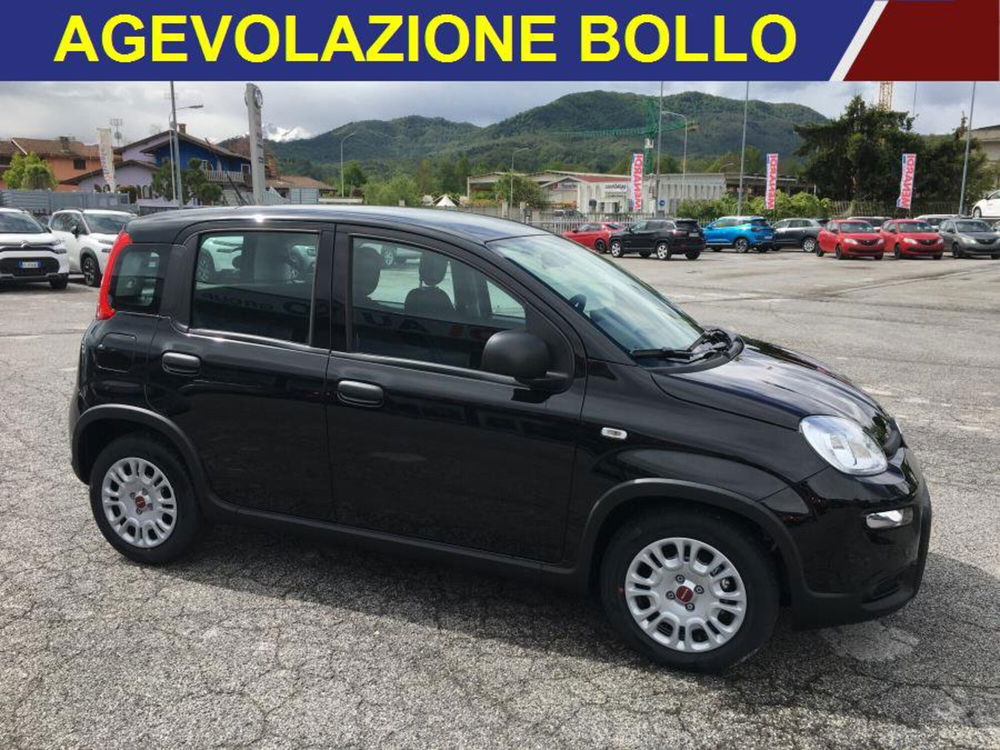 Fiat Panda Cross nuova a Cuneo (2)