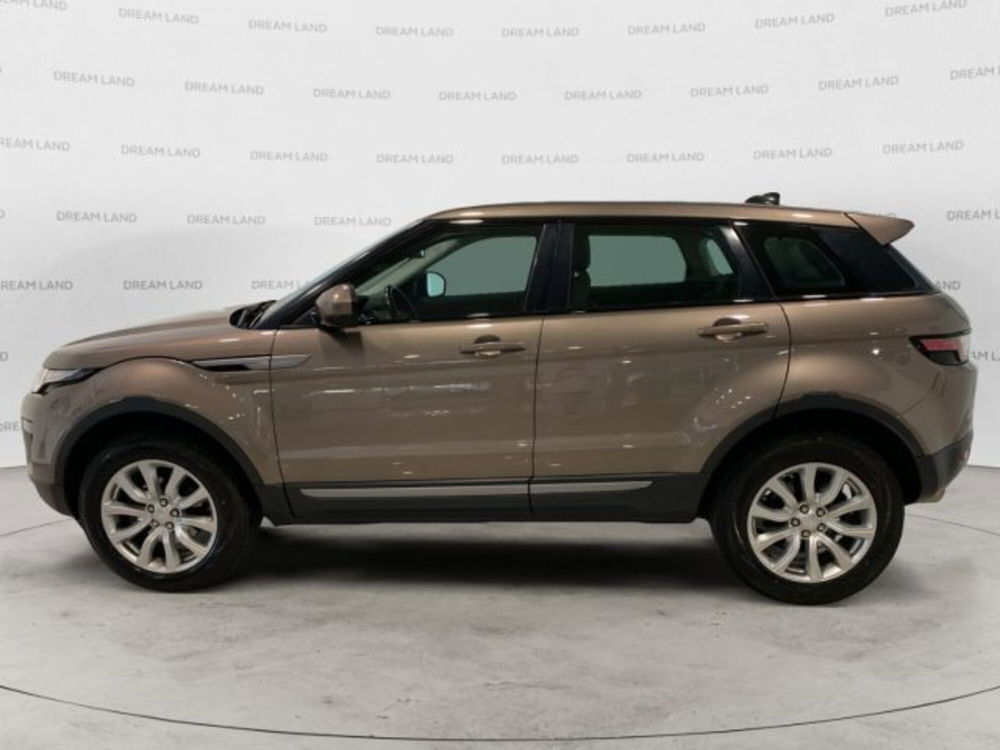 Land Rover Range Rover Evoque usata a Livorno (6)