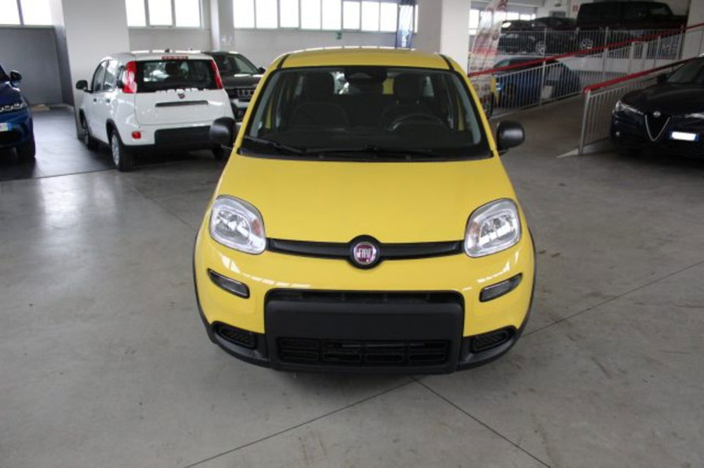 Fiat Panda nuova a Terni (2)