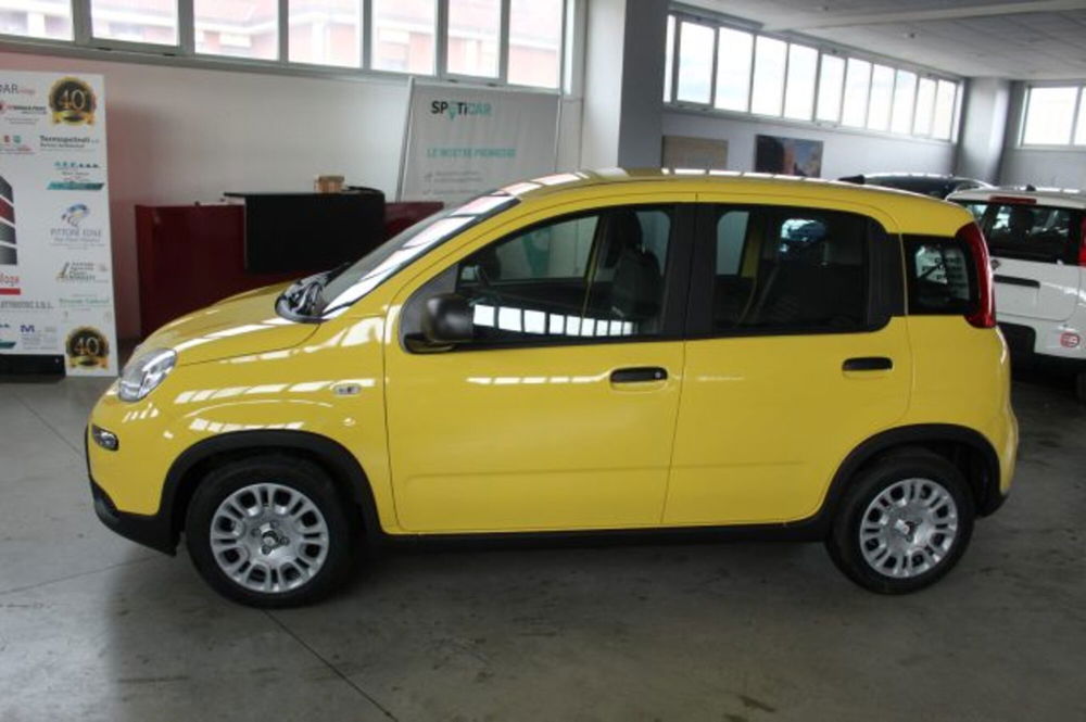 Fiat Panda nuova a Terni (3)