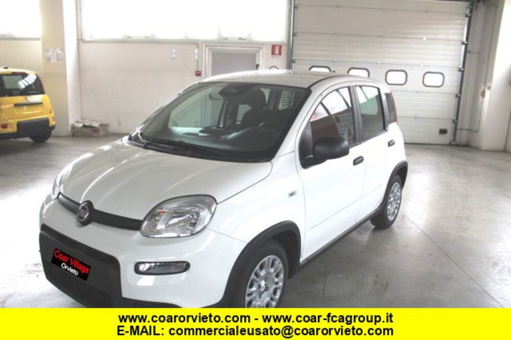 Fiat Panda nuova a Terni