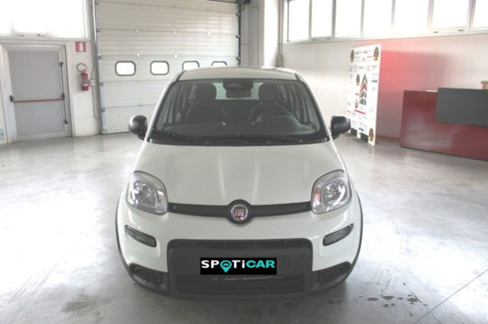 Fiat Panda nuova a Terni (2)