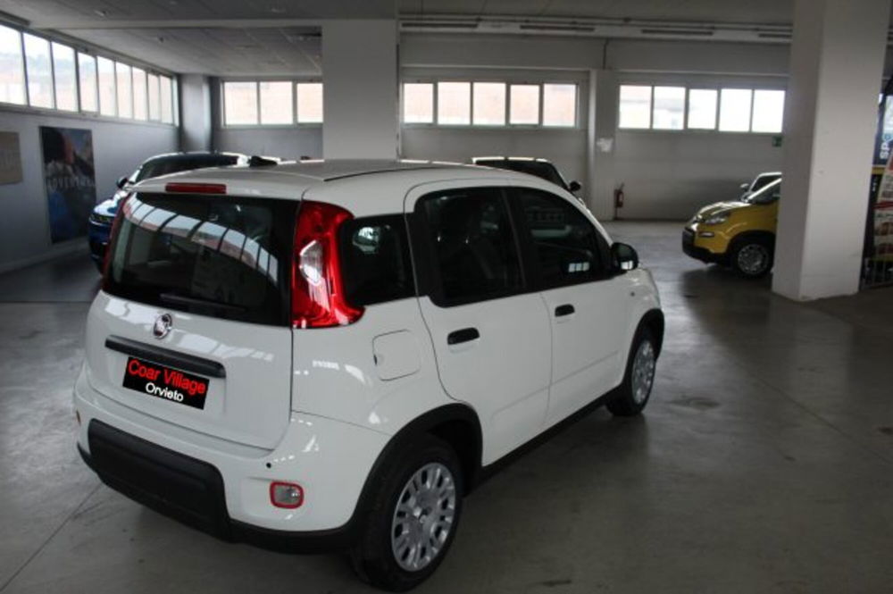 Fiat Panda nuova a Terni (4)