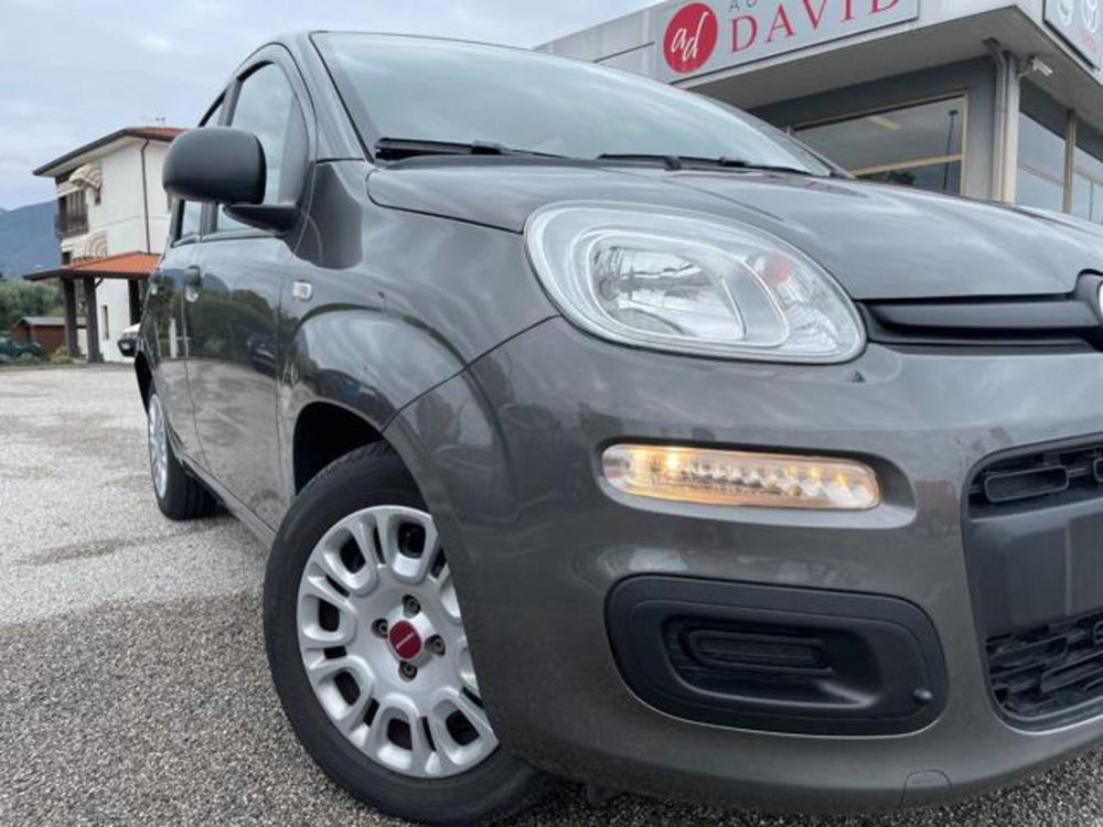 Fiat Panda usata a Pordenone (5)