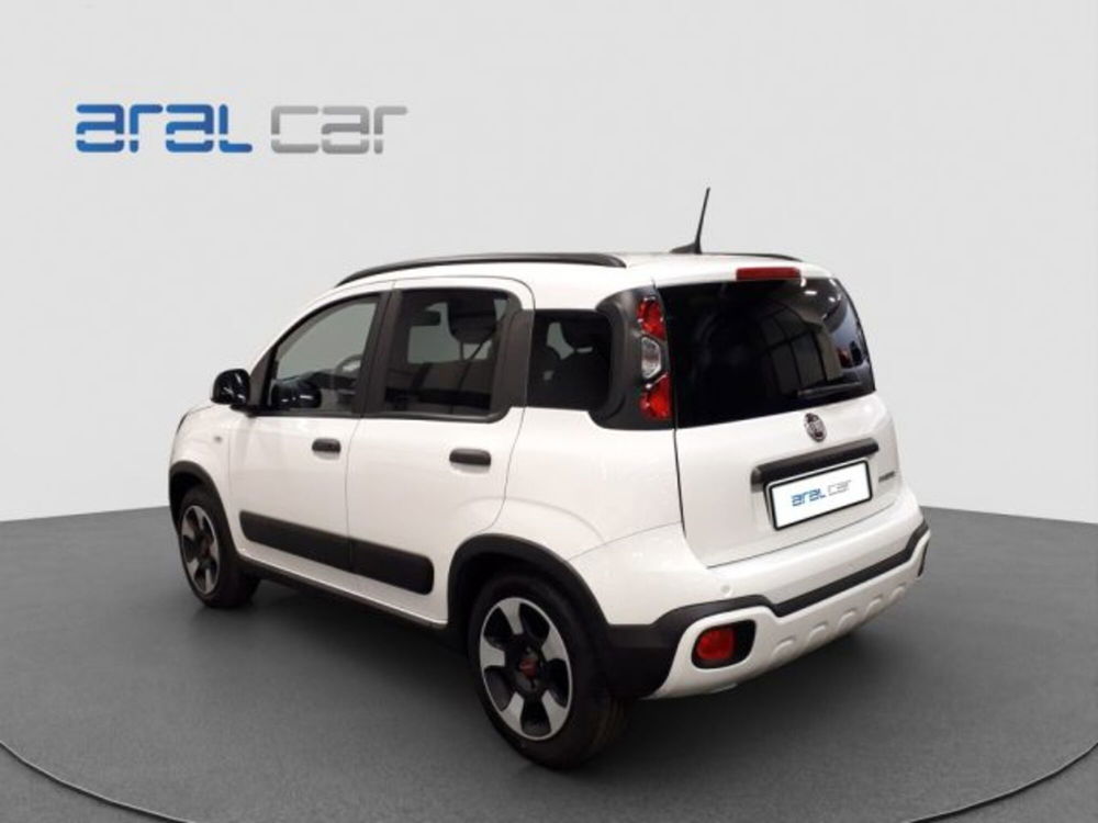 Fiat Panda Cross usata a Torino (4)