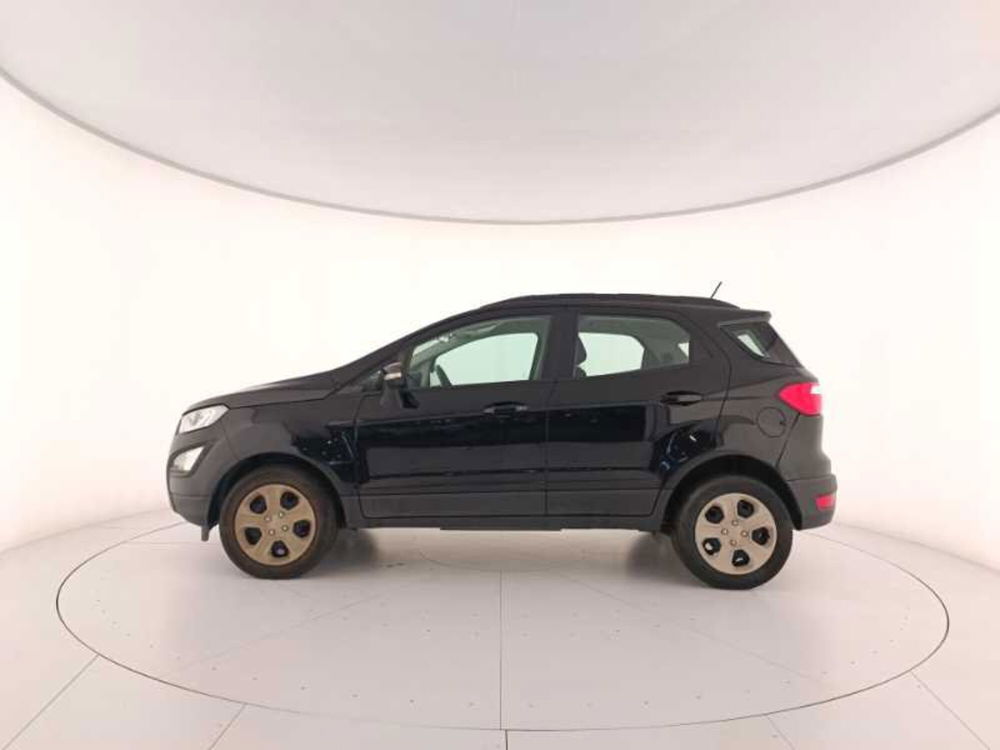 Ford EcoSport usata a Treviso (8)