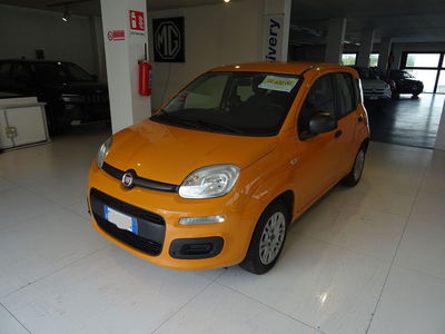 Fiat Panda 1.2 EasyPower Easy  del 2019 usata a Lucca