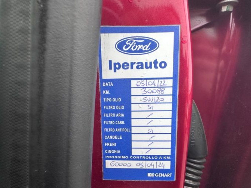 Ford Puma usata a Lodi (15)