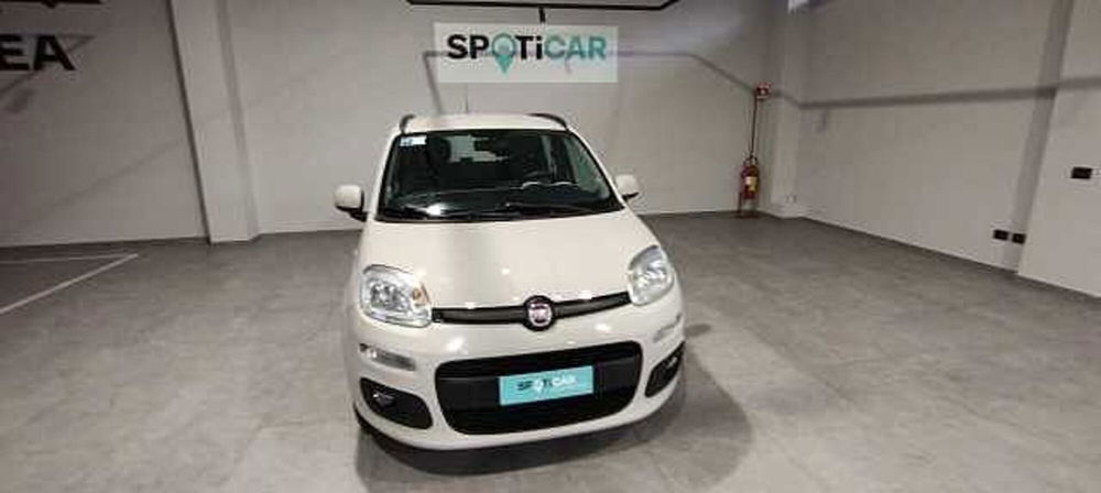 Fiat Panda usata a Viterbo (3)