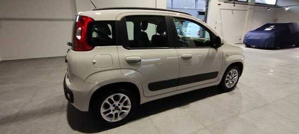 Fiat Panda usata a Viterbo (5)