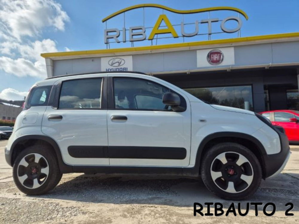 Fiat Panda Cross usata a Cuneo (16)