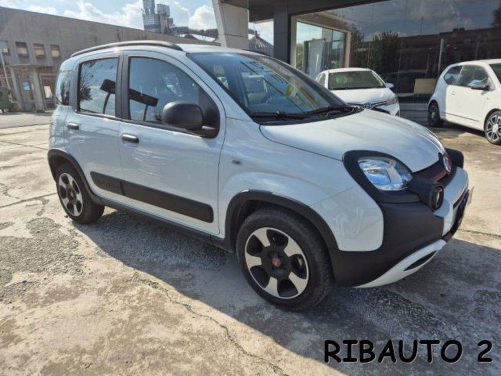 Fiat Panda Cross usata a Cuneo (7)