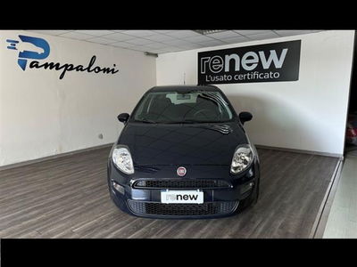 Fiat Punto 1.3 MJT II S&amp;S 95 CV 5 porte Street  del 2017 usata a Siena