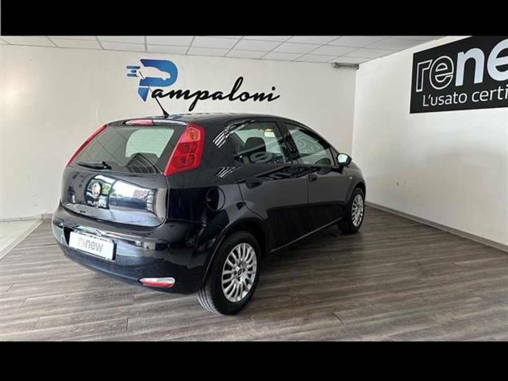 Fiat Punto usata a Siena (10)