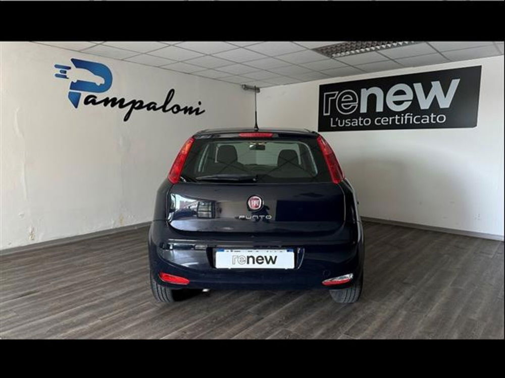 Fiat Punto usata a Siena (11)