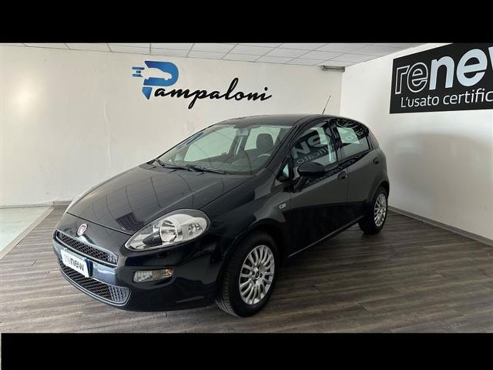 Fiat Punto usata a Siena (2)