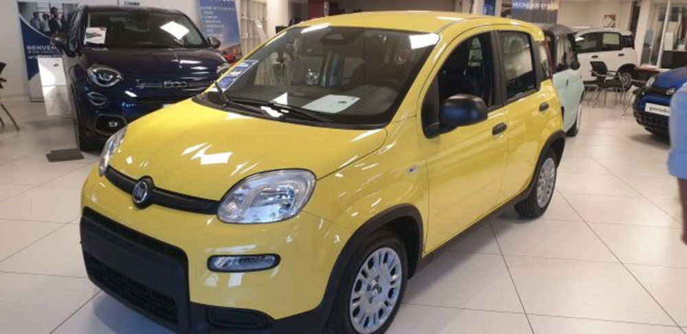 Fiat Panda nuova a Imperia