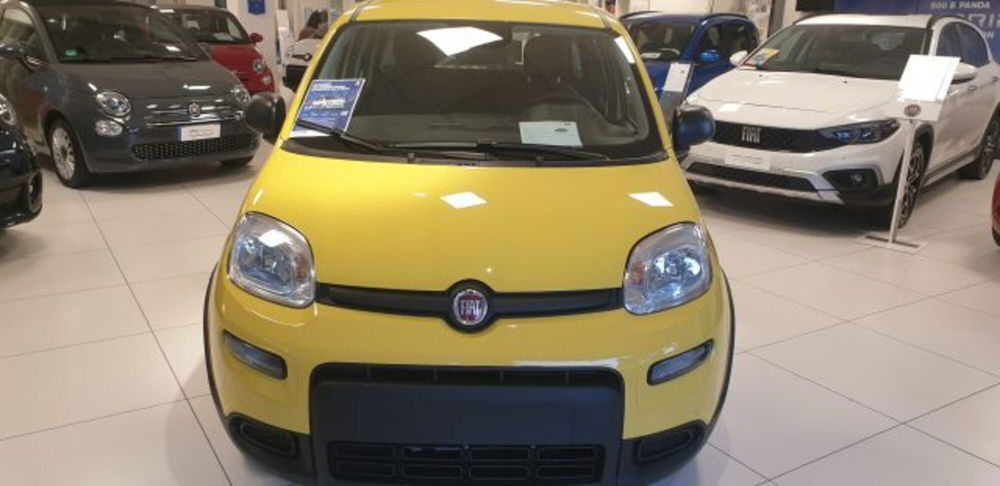 Fiat Panda nuova a Imperia (2)